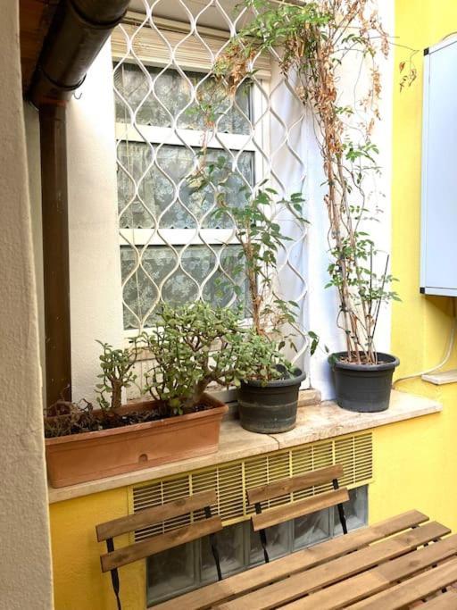 Vatican Vacation Home Interno 2 罗马 外观 照片